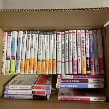 BL 소설 31권 묶음 판매