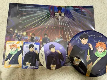 하이큐 요코하마 코스모 월드 빅 배지 카라스노 코스터 파일