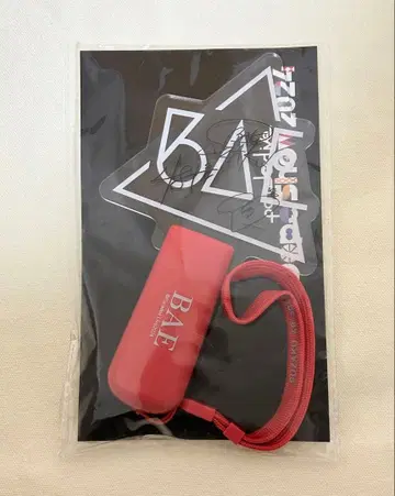 파라라이 응원봉 BAE 2024