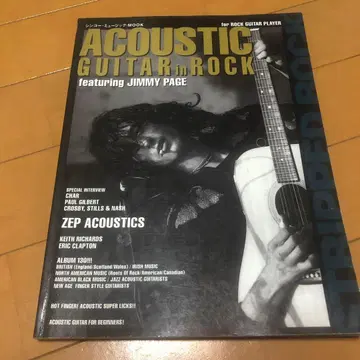 ACOUSTIC GUITAR in ROCK