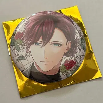 스타마이 AGF 특전 하토리