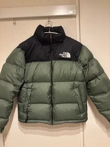 새상품 THE NORTH FACE 다운 자켓 레트로 눕시 1996