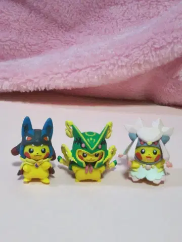 판초를 입은 피카츄 컬렉션