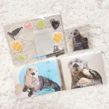 캡슐 복권 토바 수족관 랏코 메이짱 복권 키라 B상 D상 사진 프레임