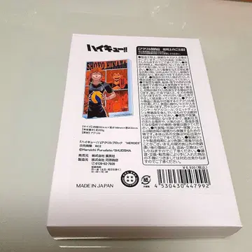 하이큐!! 히나타 쇼요 아크릴 블록 벌스데이 점프샵