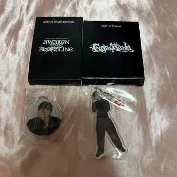 &TEAM AWAKEN THE BLOODLINE 아크릴 키링 EJ