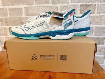 미즈노 웨이브엑시드 투어 5 AC / 27.5cm / 테니스화