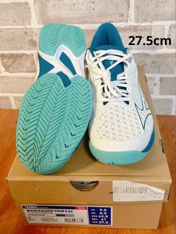 미즈노 웨이브엑시드 투어 5 AC / 27.5cm / 테니스화