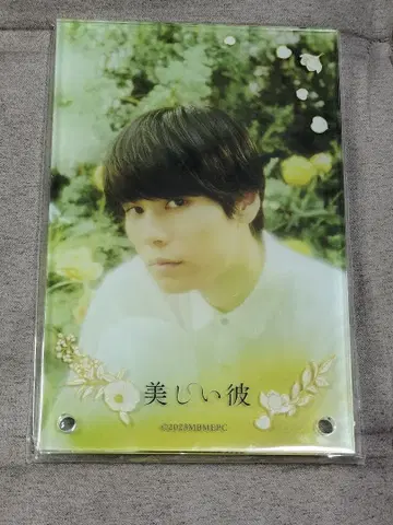 [ 하라카와 리쿠 아크릴 섀도우 박스 타이라 잇세이 ]