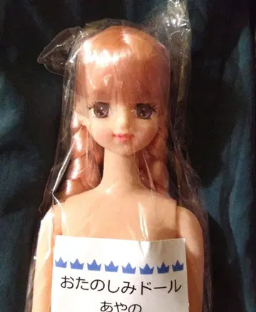 아야노 오타노시미 인형 리카짱 캐슬 제니 프렌드