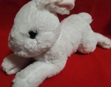 선레몬 토끼 봉제 인형 토끼 SUN LEMON 마스코트 동물