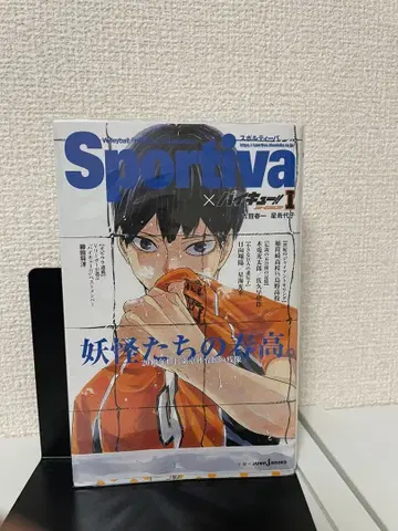 Sportiva 하이큐!! 소설판!! 1-13권