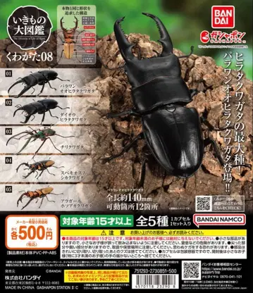 생물대도감 사슴벌레 08 5종