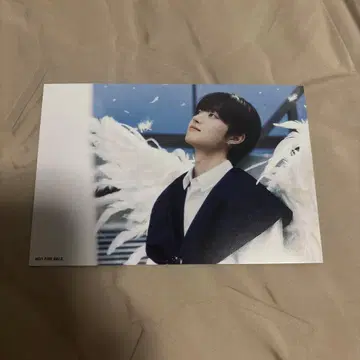 &TEAM 증정회 위주 엽서