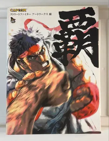 스트리트 파이터 아트 워크스