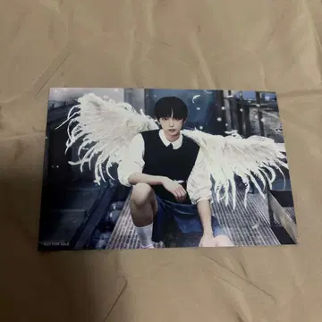 &TEAM 증정회 하루아 엽서