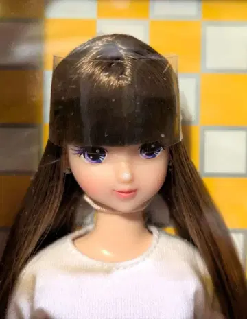 리카짱 캐슬 플로라 -1 2020년 4월 월간 인형 12019 새상품