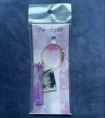 [ 즉시 구매 가능 ] 블루 피리어드 하시타 유 메모리얼 아크릴 플레이트