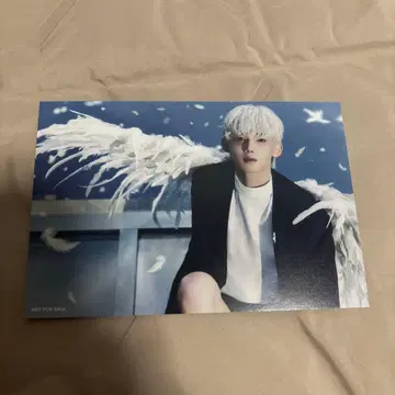 &TEAM 오와타시카이 JO 엽서