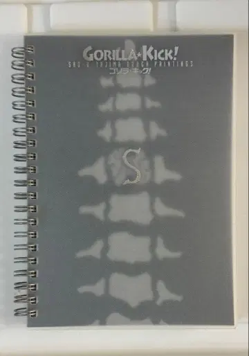 GORILLA KICK! S 스파이럴 노트