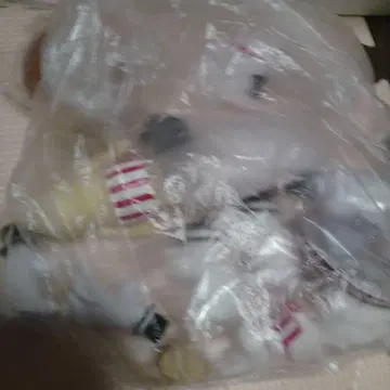 봉제 인형 캡슐 토이 세트