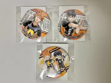 하이큐 컬렉션 캔뱃지 히나타 카게야마