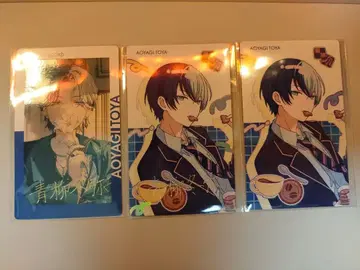 아오야기 토야 에피카 금박 노멀