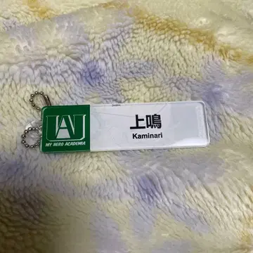 히로아카 가미나리 덴키