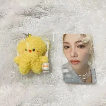 skzoo micro ver. 포갈리 마이크로