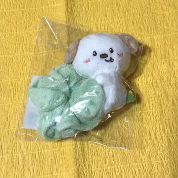 RIIZE 앤톤 스크런치