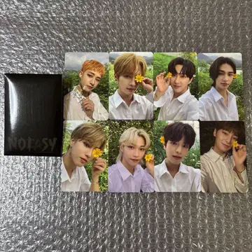 NOEASY Stray Kids 사전 예약 특전 트레이딩 카드 스키즈