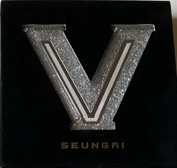 BIGBANG V.I 승리 VVIP CD 트레이딩 카드