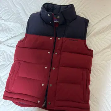 patagonia 다운 베스트