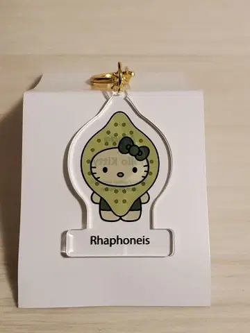 조류 x 헬로키티 시크릿 아크릴 키링