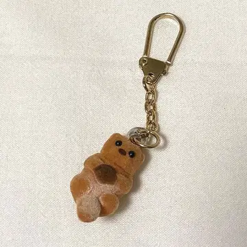 랏코 키링 플로키 우오즈 수족관 진주 코너