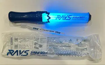 SnowMan Dome Tour 2024 RAYS 응원봉