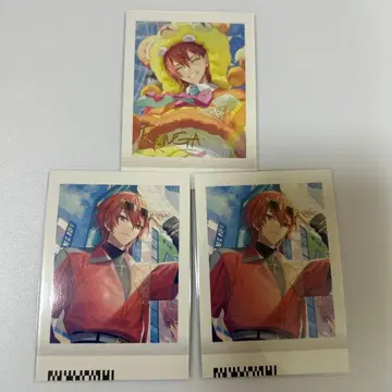 에이트리 니시조노 렌가 금박 파샤코레