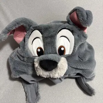 팬캡/원더풀 스토리/트럼프