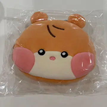 ZB1 제베원 zeroni 비니니 포토 카드 홀더 파우치 한빈