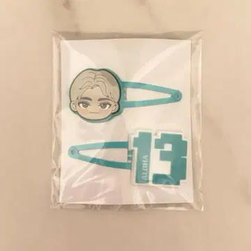 초특급 알로하 헤어 클립