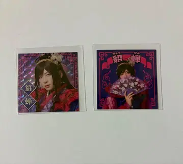 검극 삼국지 연기 조위 스티커 초선 아라마키 요시히코