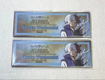 토도로키 쇼토 십걸 마그넷 나의 히어로 아카데미아