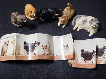 가챠가챠 하시모토 미오 고양이 조각 2 풀 컴프