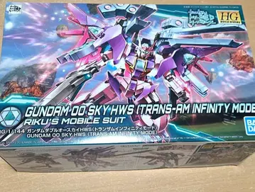 HG 더블오 스카이 HWS 트랜잠 인피니티 미개봉