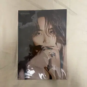 SEVENTEEN 정한  플라이어