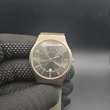 SKAGEN 233XLTM 블랙 다이얼 시계