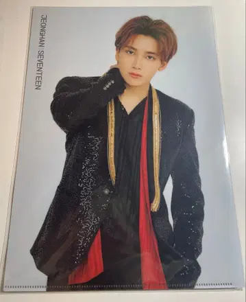 정한 클리어 파일 IDEAL CUT