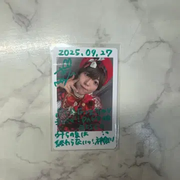 팬더 드래곤 팟치 하피카 낙서