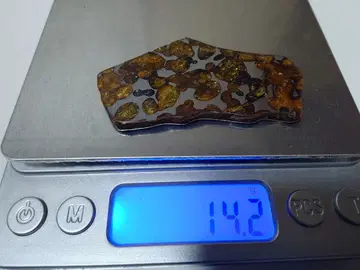 기생 운석 세리코