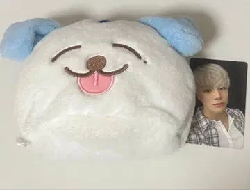 nct dream 드림 제노 트레이딩 카드 파우치 굿즈